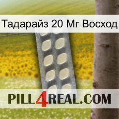 Тадарайз 20 Мг Восход 08